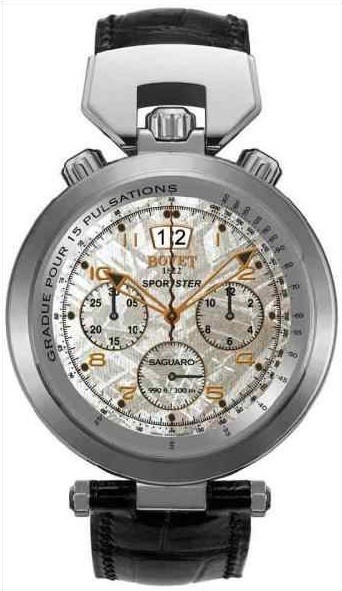 Sportster Saguaro Automatic in Steel White Meteorite Dial photo